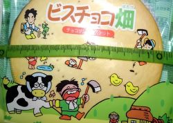 もち吉のビスチョコ畑の販売期間はいつまで 値段や味の口コミも紹介